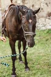Multižánrový festival na hrade Bzovík - MEDZIPRIESTOR