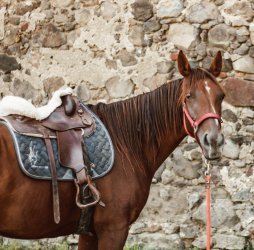 Multižánrový festival na hrade Bzovík - MEDZIPRIESTOR