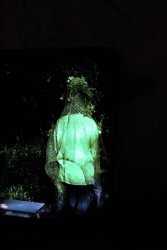 Multižánrový festival na hrade Bzovík - MEDZIPRIESTOR