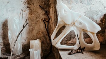 Multižánrový festival na hrade Bzovík - MEDZIPRIESTOR