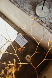 Multižánrový festival na hrade Bzovík - MEDZIPRIESTOR