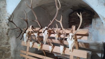 Oslavy 890 výročia