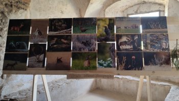 Oslavy 890 výročia