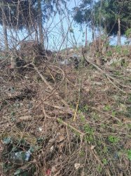 Čistenie obce Bzovík - Deň Zeme